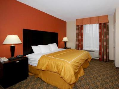 Comfort Westchase Energy Corridor 3*